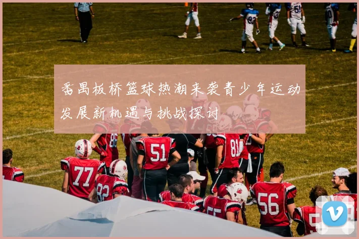 番禺板桥篮球热潮来袭青少年运动发展新机遇与挑战探讨